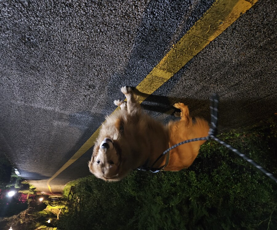 이 녀석은... 언제까지..._6.jpg