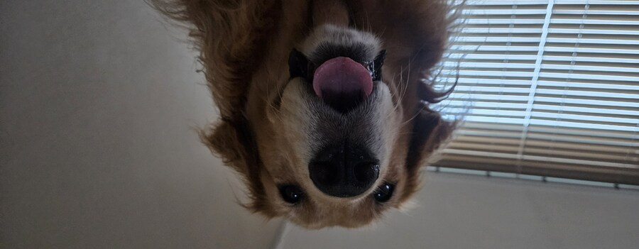 이 녀석은... 언제까지..._8.jpg