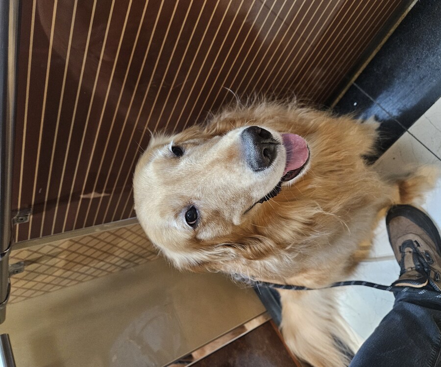 이 녀석은... 언제까지..._9.jpg