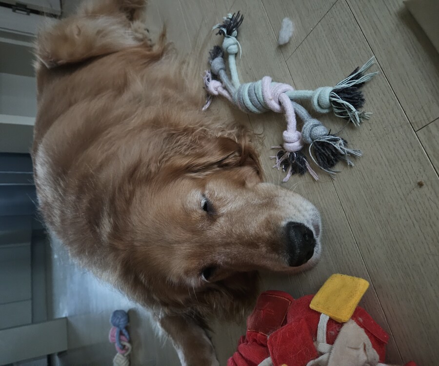 이 녀석은... 언제까지..._10.jpg