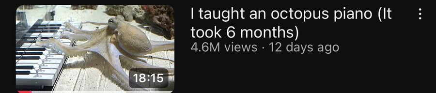 유튜브에 문어한테 피아노가르치는게 있는데_1.jpg