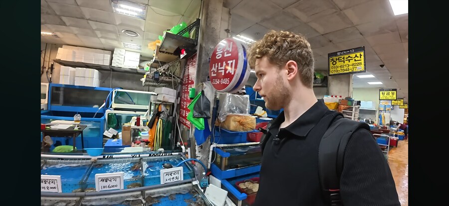 유튜브에 문어한테 피아노가르치는게 있는데_2.png