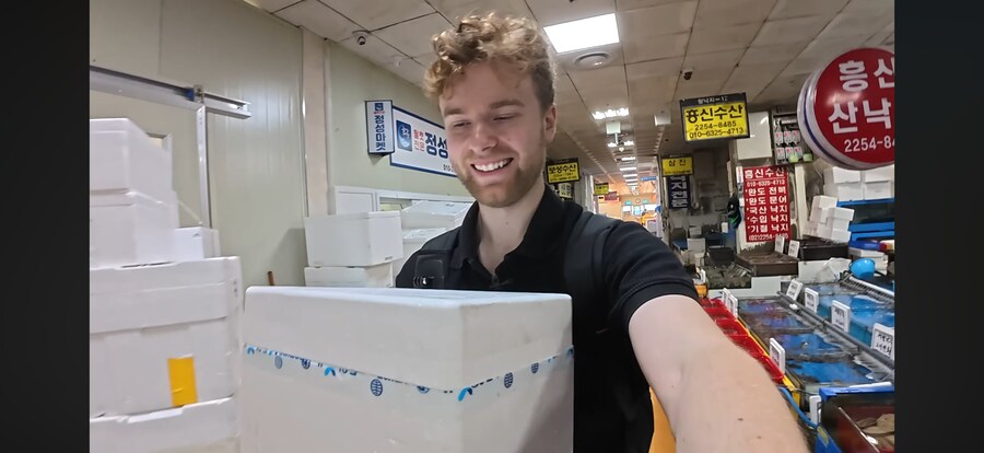 유튜브에 문어한테 피아노가르치는게 있는데_4.png