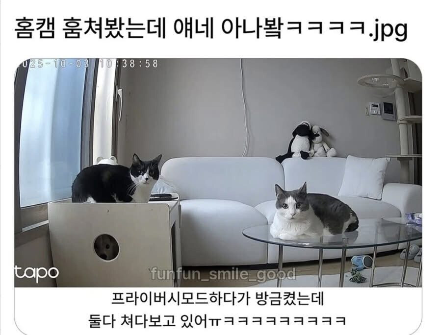 네놈 보고 있구나!_1.jpg