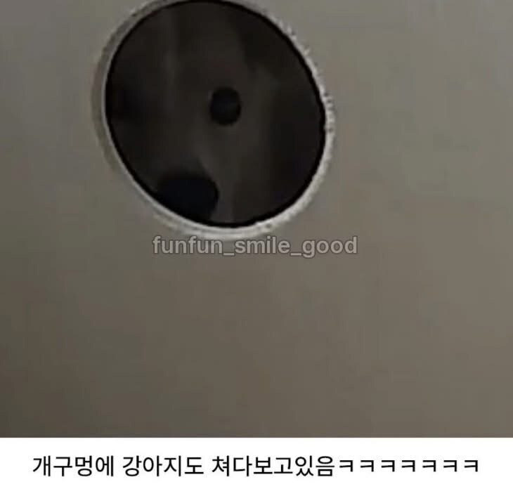 네놈 보고 있구나!_2.jpg