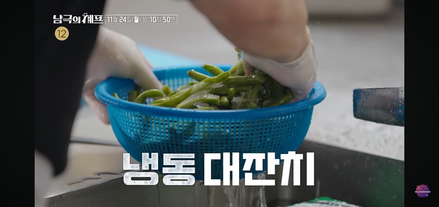 남극의 약탈자들 : 냉동밖에 없다니_4.jpg