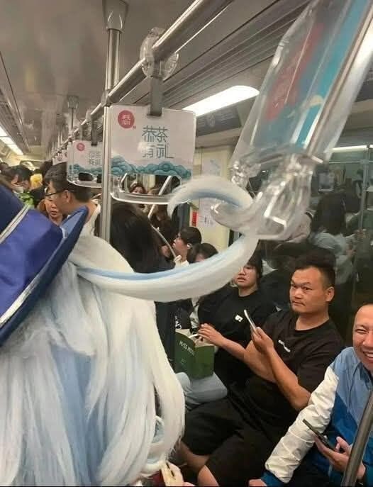 바보털의 용도_1.jpg