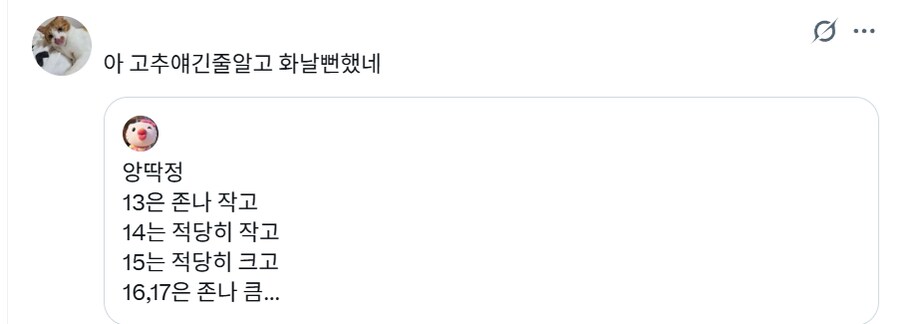 13이면 ㅈㄴ 작은건데?_1.png