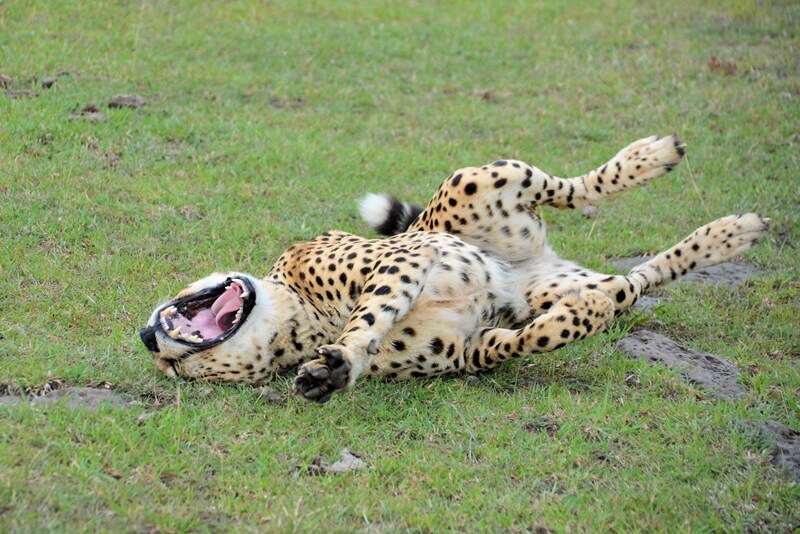 너네 여자는 맨몬 운동하면 안되는 이유를 알앙?_2.jpg