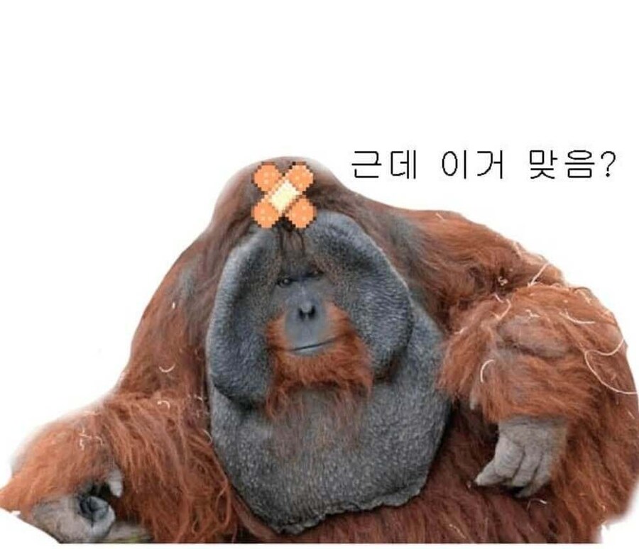 오라클 사태 요약_3.jpg