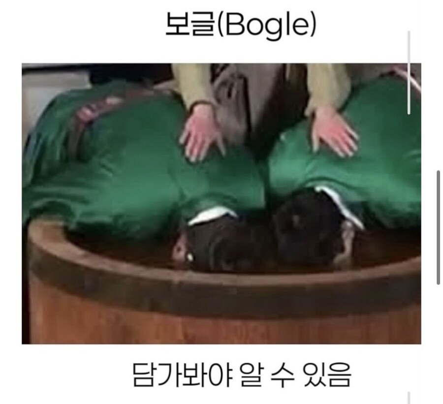 조선의 검색엔진_4.jpg