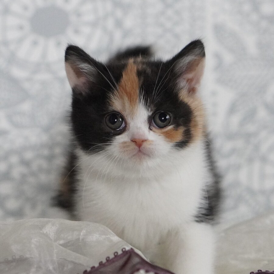 회사 1일차 → 1년뒤_1.png