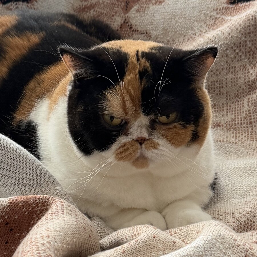 회사 1일차 → 1년뒤_2.png