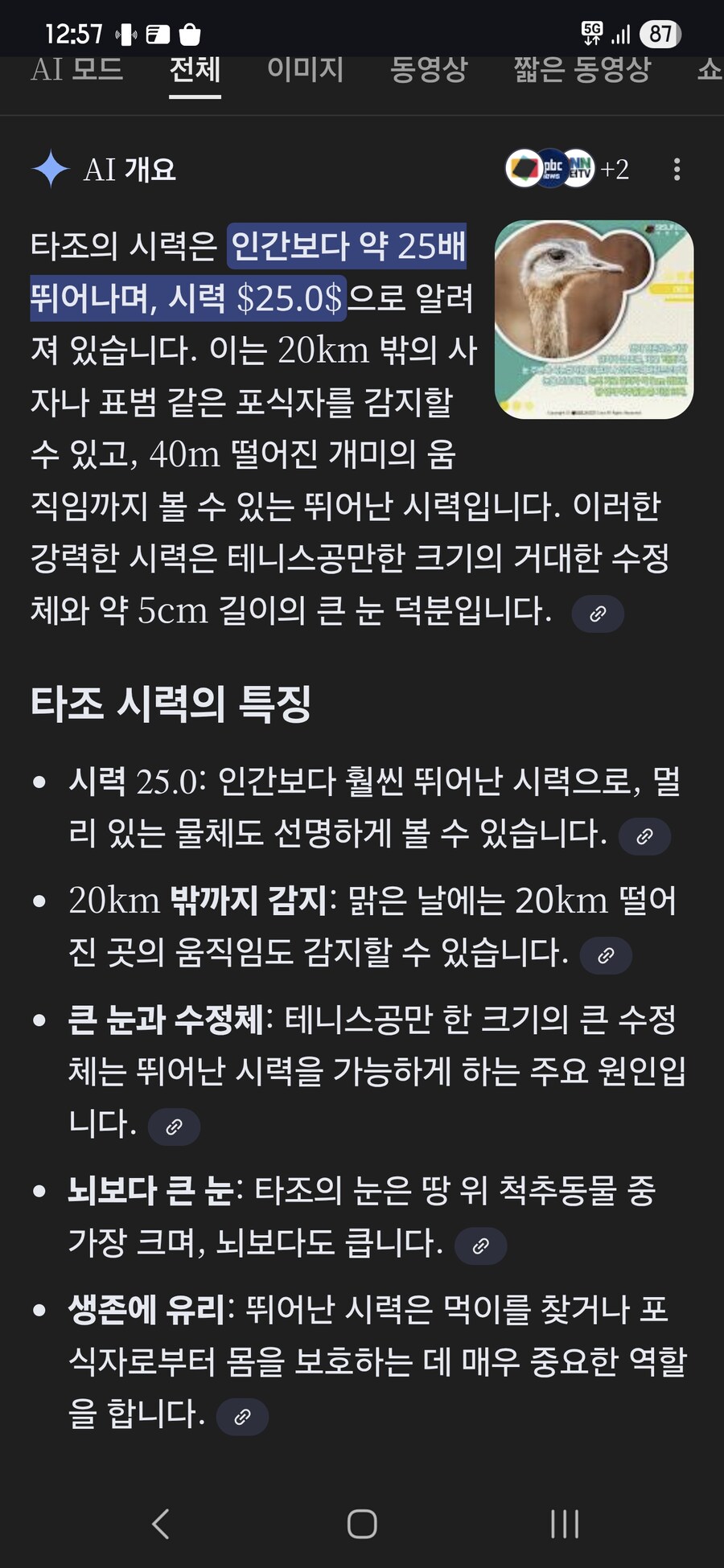 타조 시력 미쳤네 25.0_1.jpg