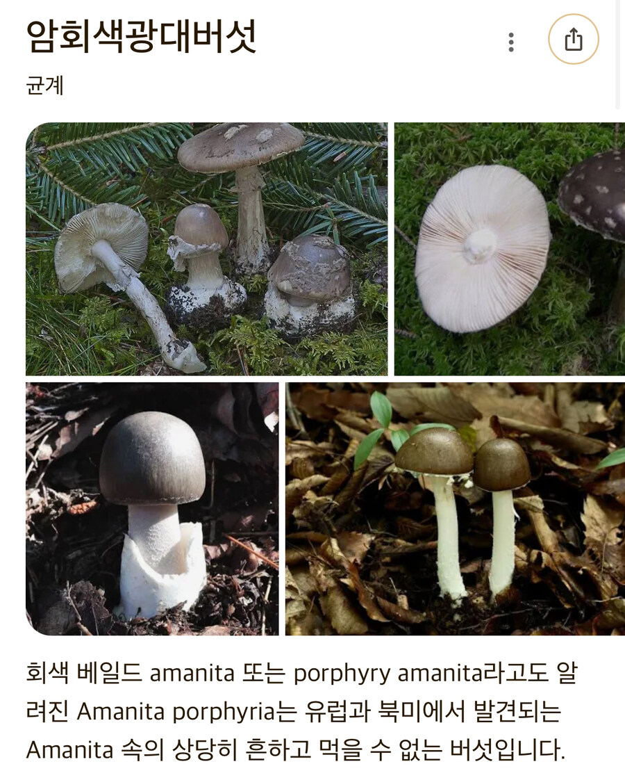 지식인 덕분에 목숨건진 디시인_2.jpg