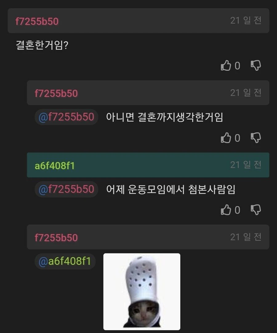 계란 못깐다고 구박받아 이혼 생각한 남자.JPG_2.webp