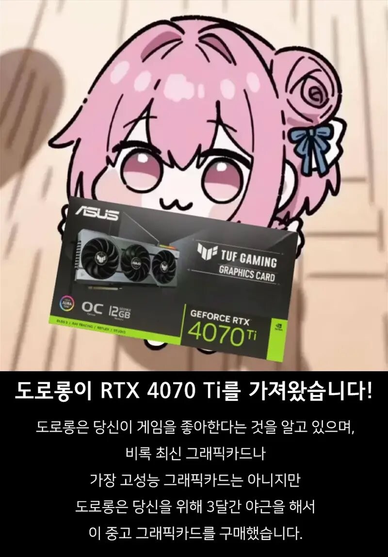 도로롱 : 널 위해... 그래픽 카드? 란 것을 사왔어_1.jpg