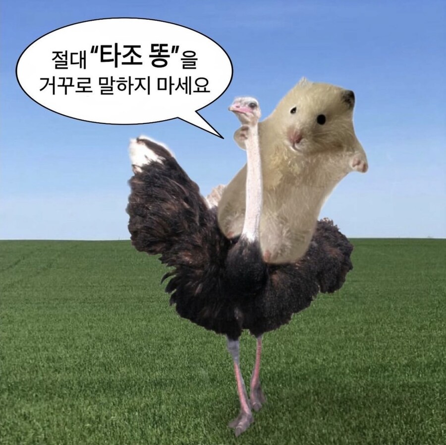 절대 거꾸로 말해선 안되는 단어_1.png