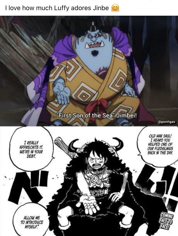 원피스 징베가 영입된 이유중 하나로 추정되는거_1.jpg