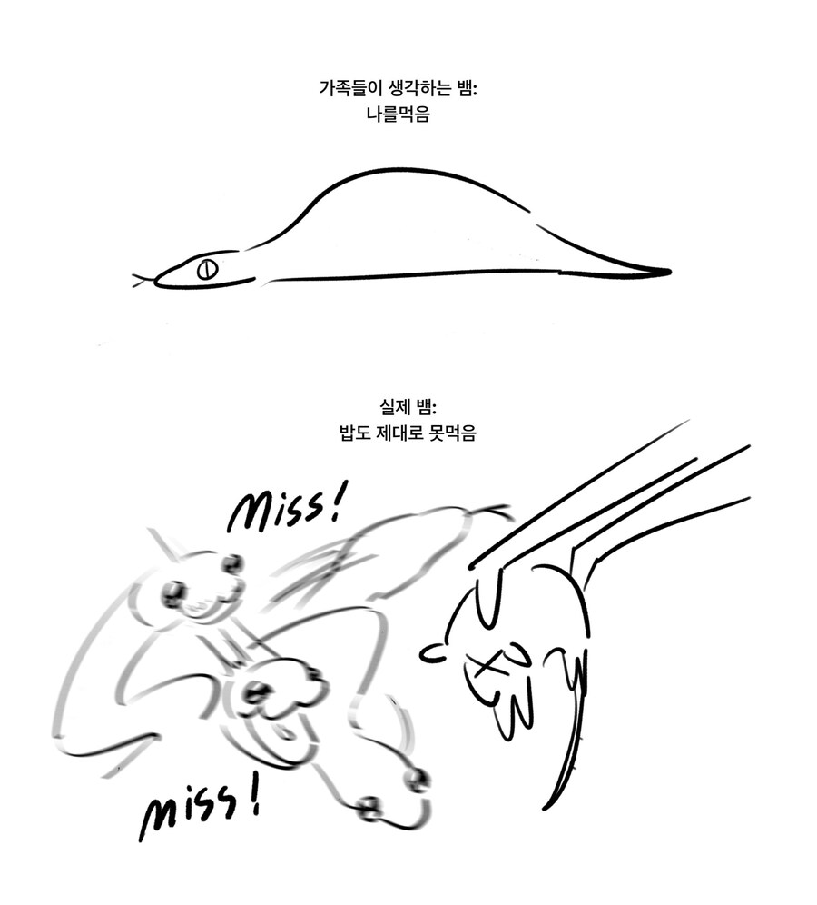 상상속 뱀 vs 실제 뱀_1.jpg