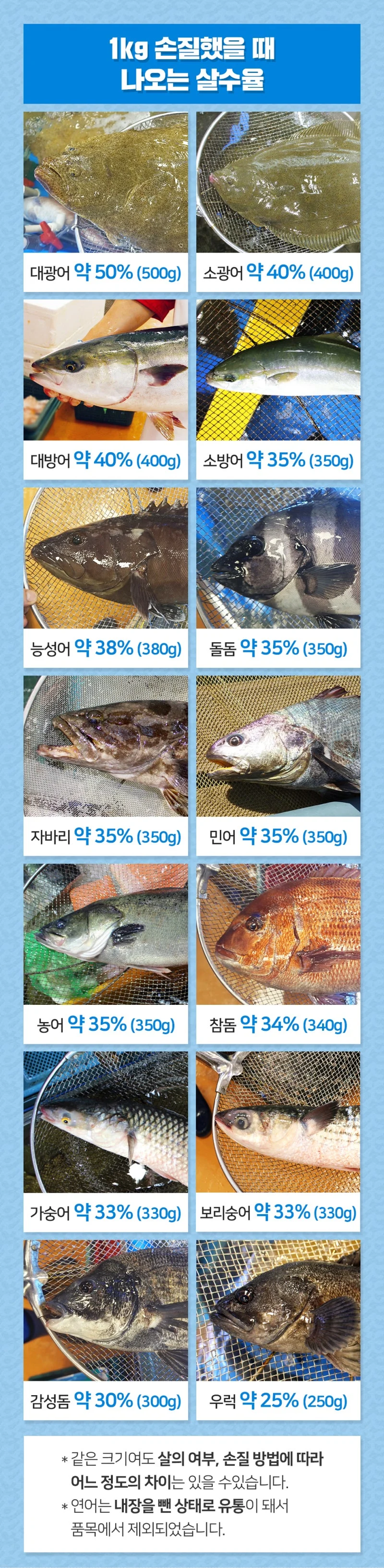 횟감 생선들 수율 비교_1.webp