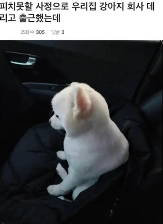 복숭아못할 사정이 생걌던 직원_1.jpg