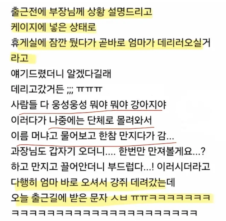 회사에 강쥐 데리고 간 직장인_2.webp