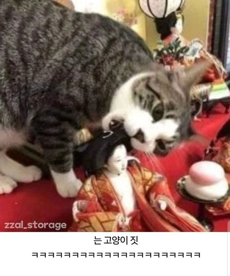 공포)기괴한 일본 인형 사건_4.webp