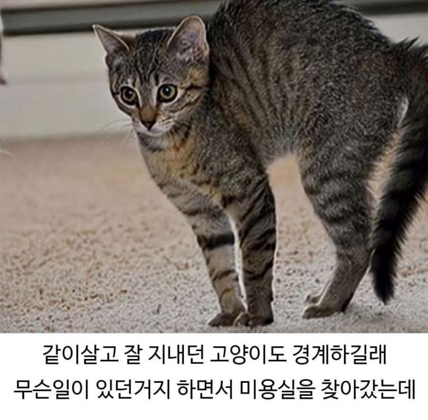 골댕이가 얼마나 착한지 알 수 있는 일_5.jpg