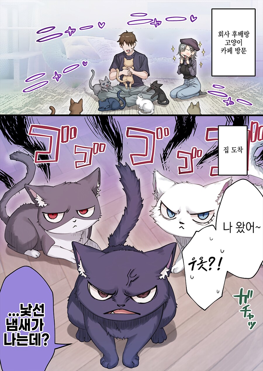 암컷의 냄새를 묻히고 온 주인을 참교육하는 고양이들_1.png