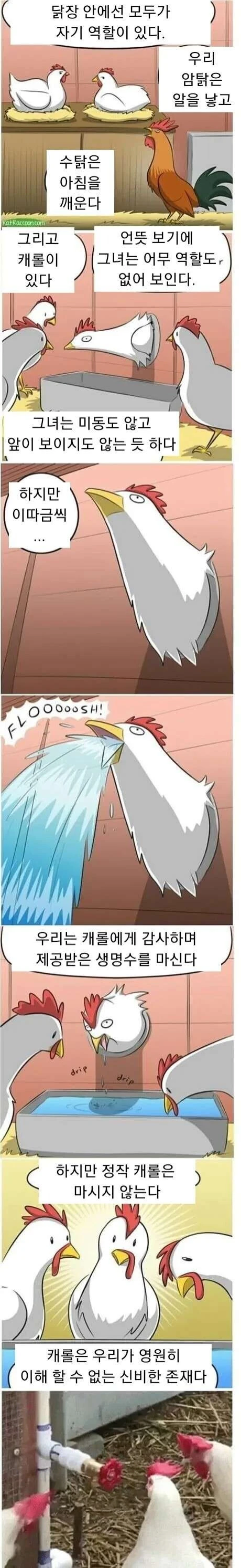 닭장의 비밀_1.webp