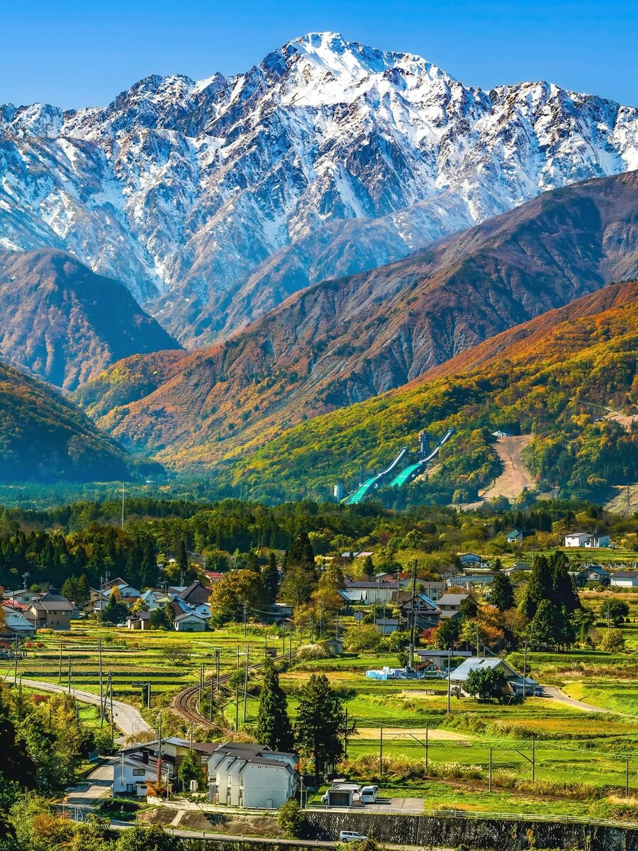 일본 나가노의 어느마을 뒷산_1.jpg