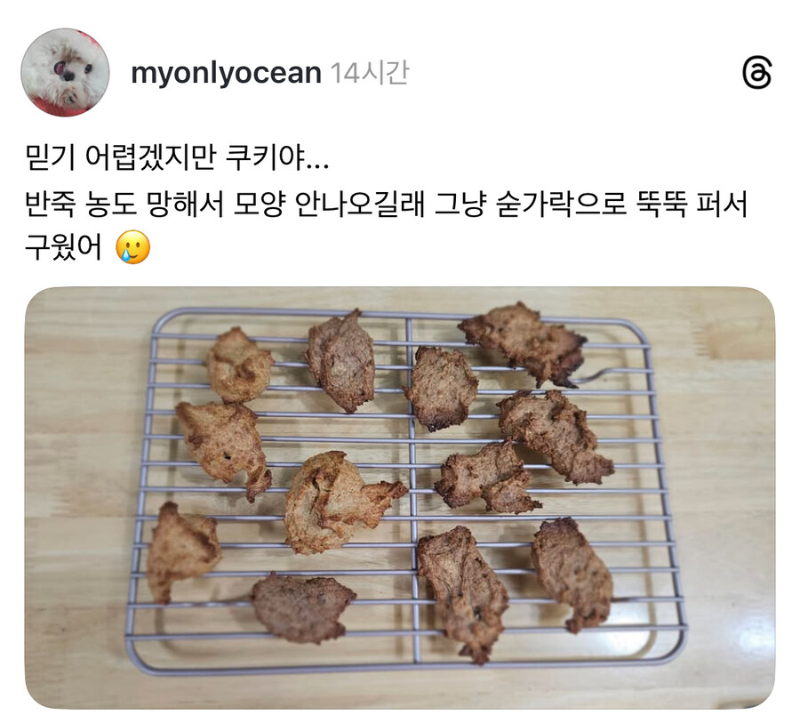 믿기힘들겠지만 쿠키입니다.jpg_1.jpg