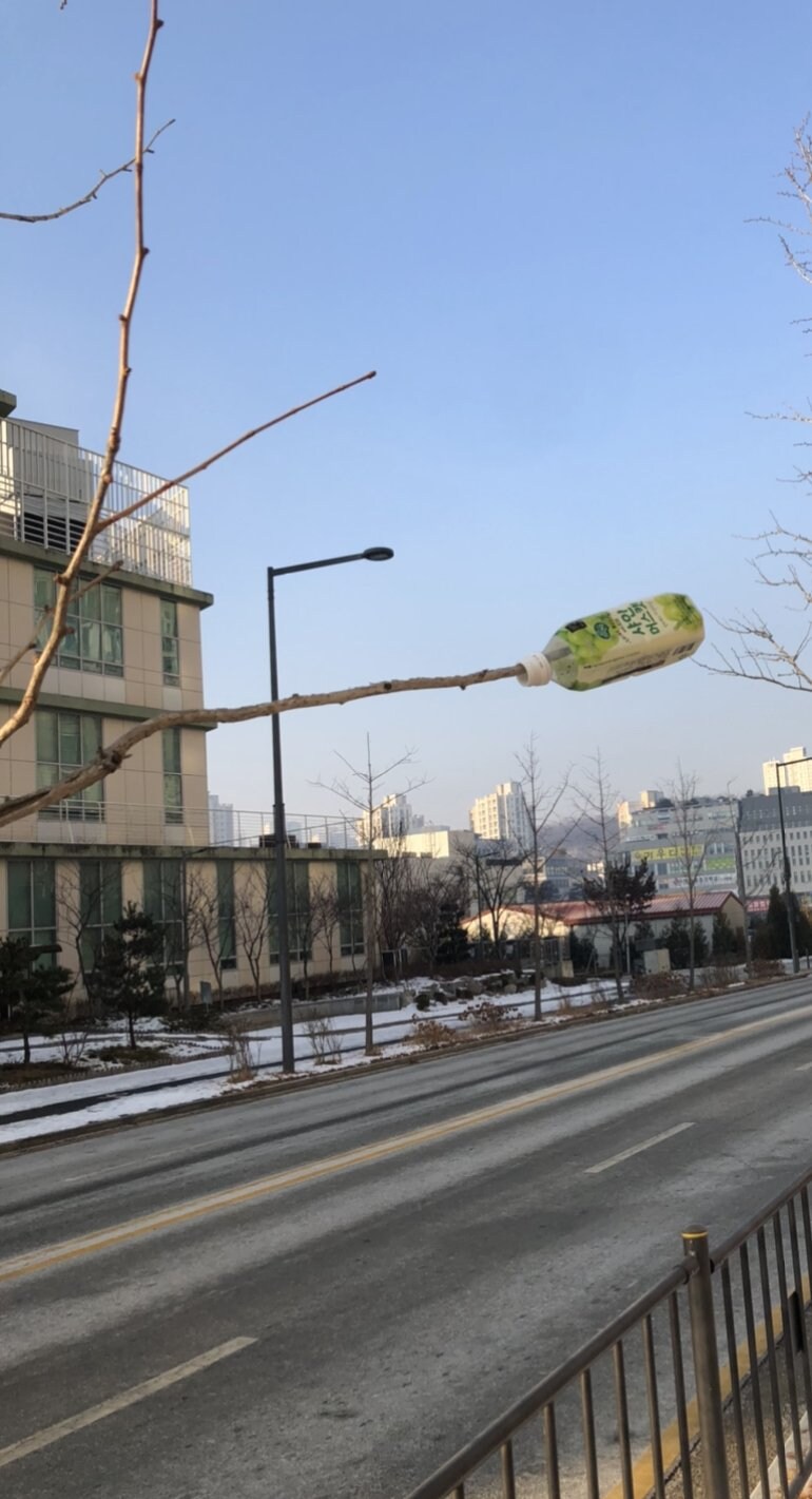 편의점 앞 나무에 샤인머스켓 열렸네_1.jpg