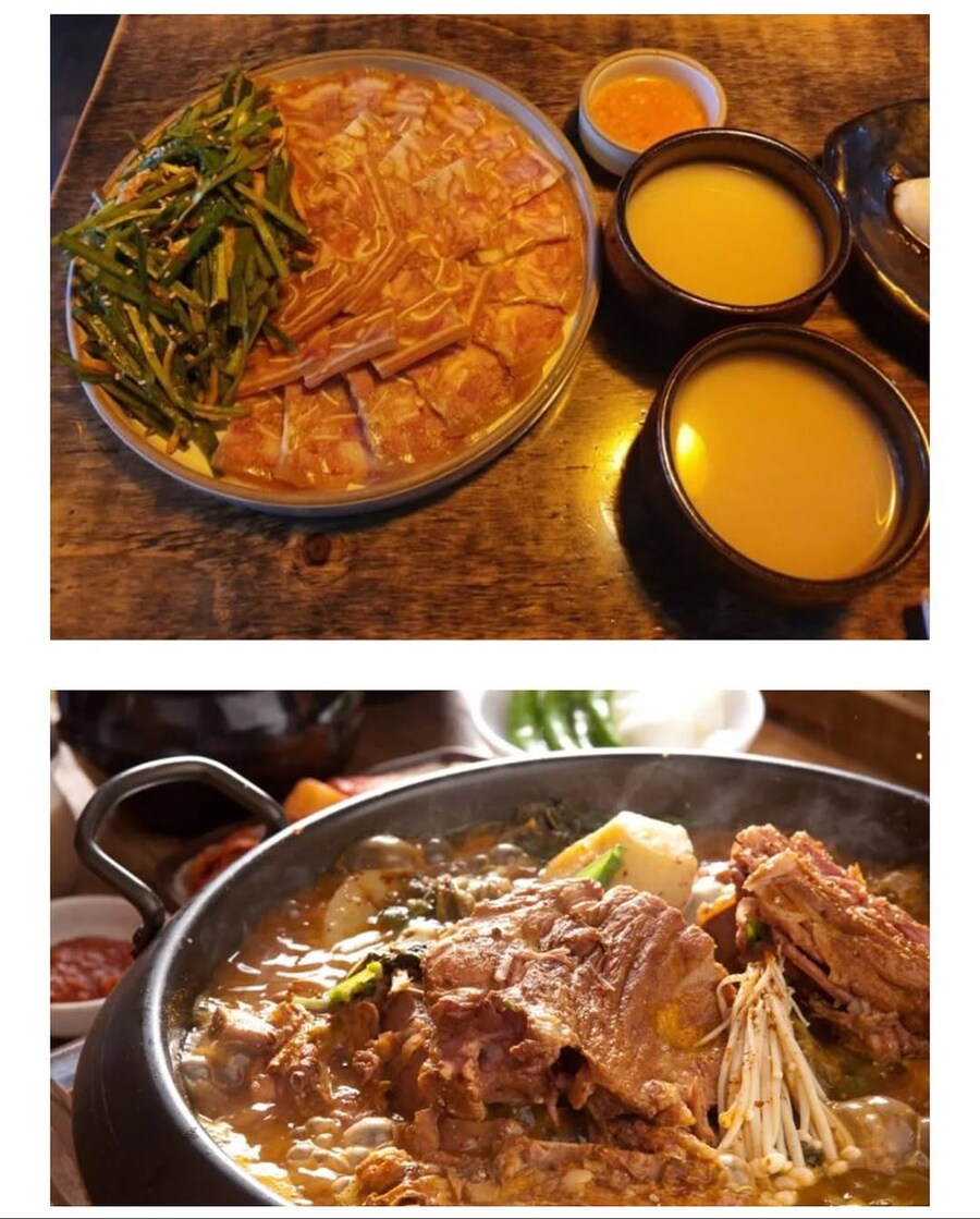 돼지들의 진짜 특징_4.jpg