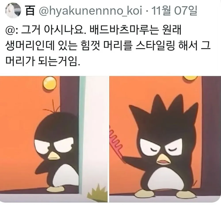 의외로 꾸밈력이 엄청나다는 산리오 캐릭터_1.webp