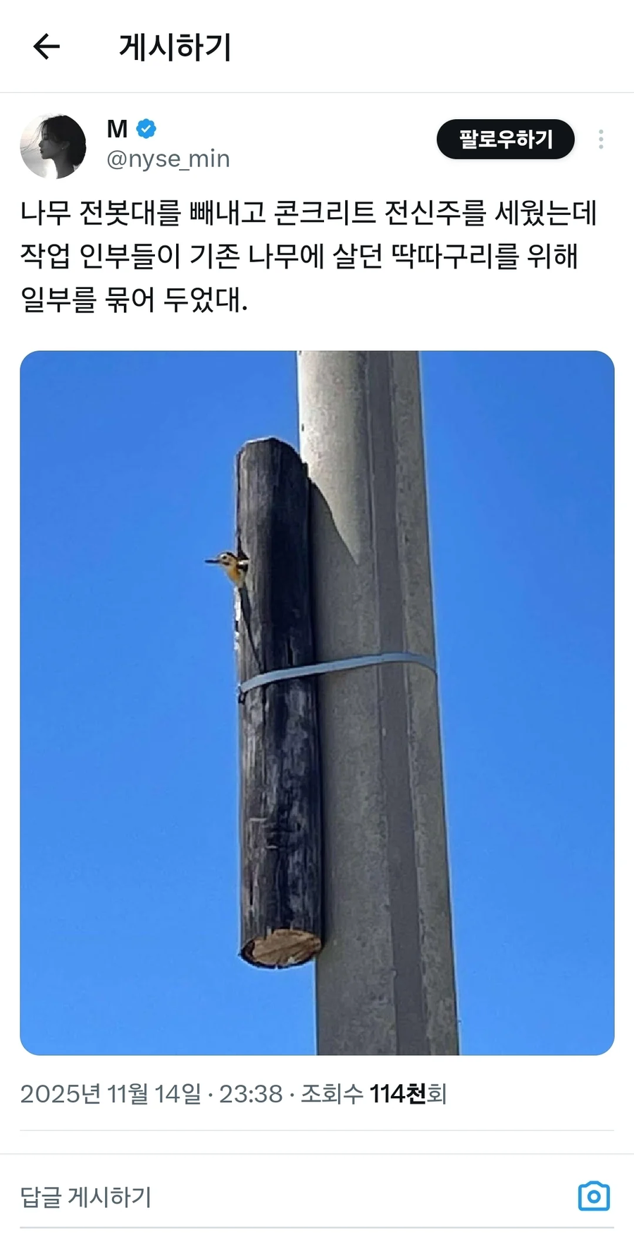 딱따구리용 전신주_1.webp