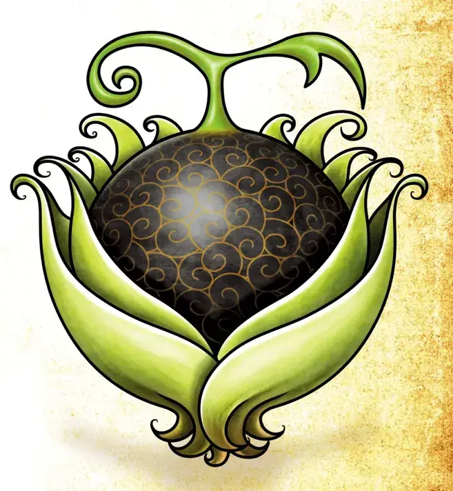 원피스 공식 설정상 사기급 초인계 열매들 관련 웃긴거_1.webp