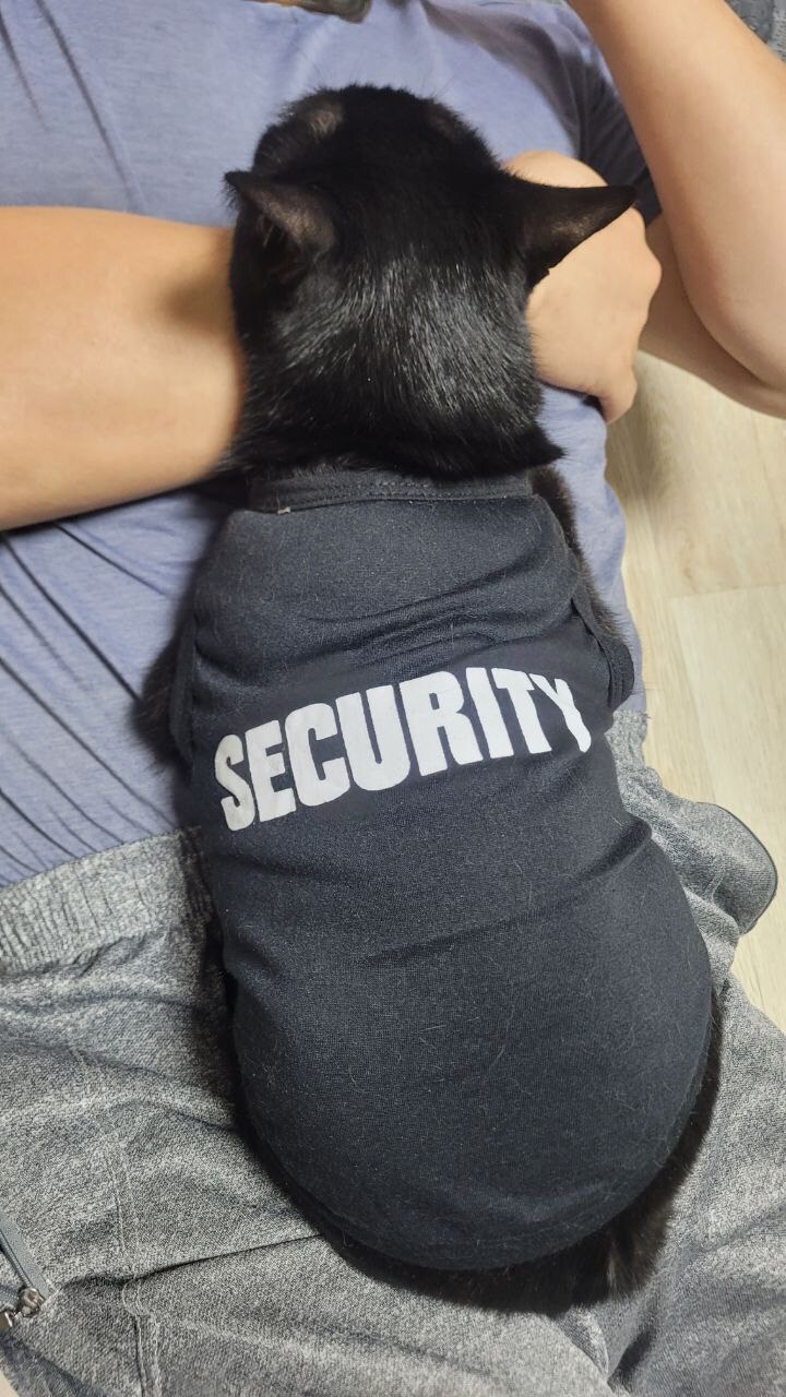 인기가 없는 엉기는 고양이_15.jpg