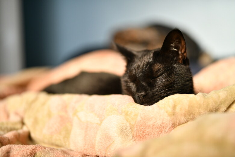 30~40까지 이어져오는 잠자리 파트너_6.jpg