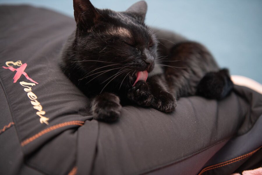 30~40까지 이어져오는 잠자리 파트너_7.jpg