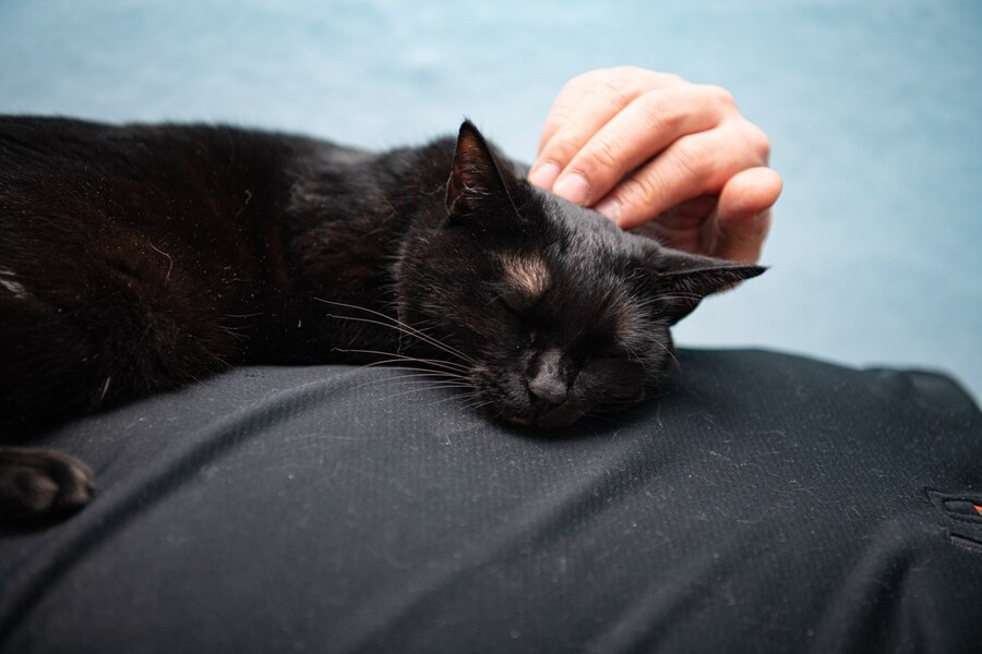 30~40까지 이어져오는 잠자리 파트너_8.jpg