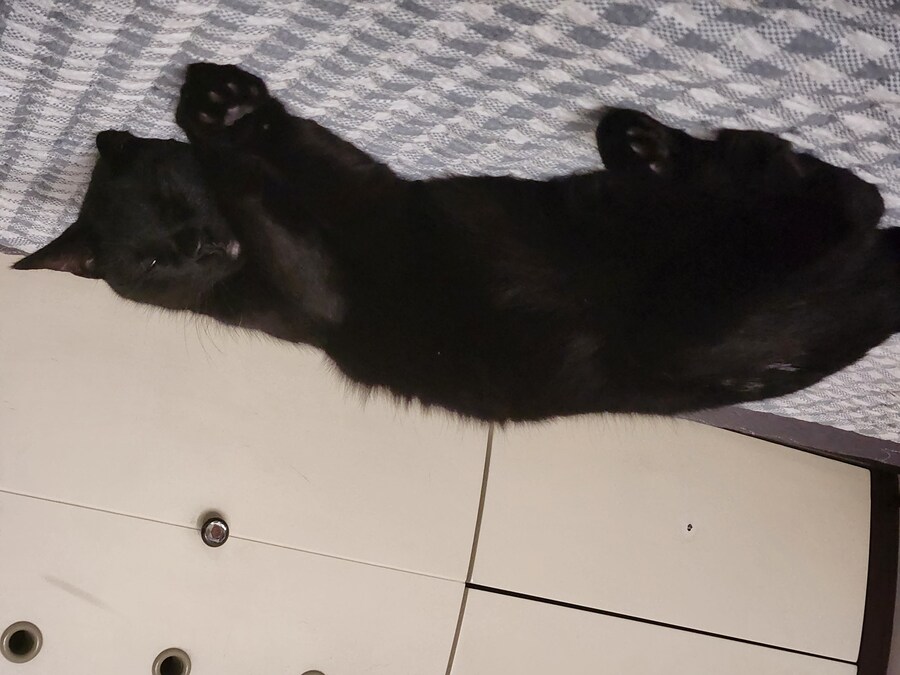 30~40까지 이어져오는 잠자리 파트너_14.jpg