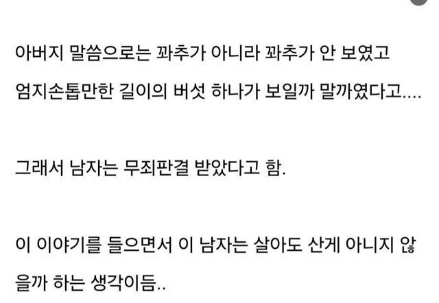 80년대 ㅅㅍㅎ 무죄 레전드_3.jpg