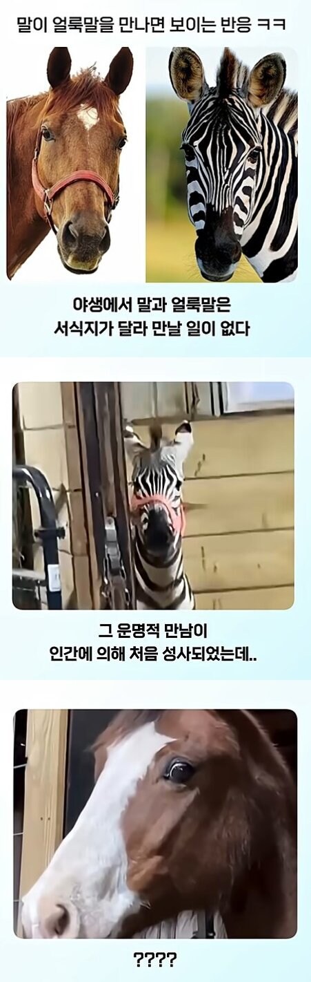 온몸에 줄무늬 문신한 친구 처음 봄_1.jpg