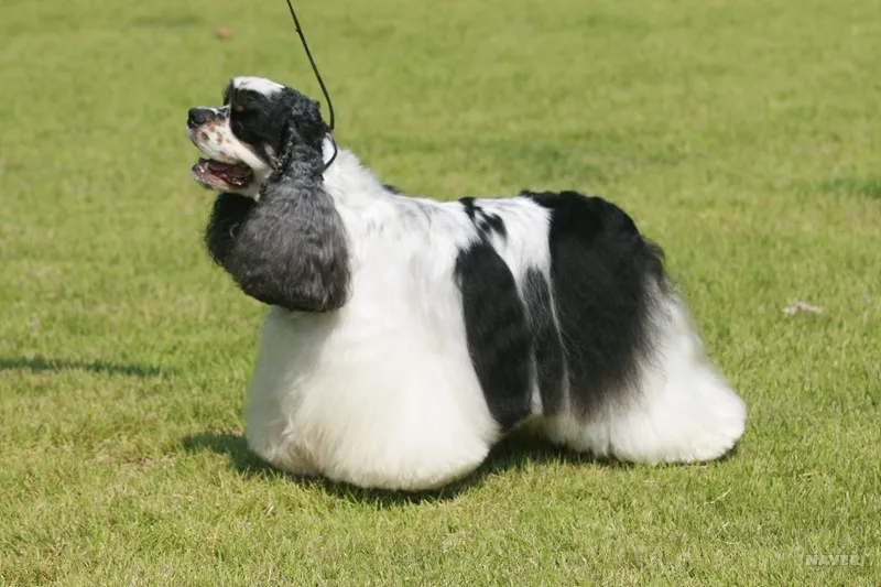 사람들이 잘 모르는거_1.webp