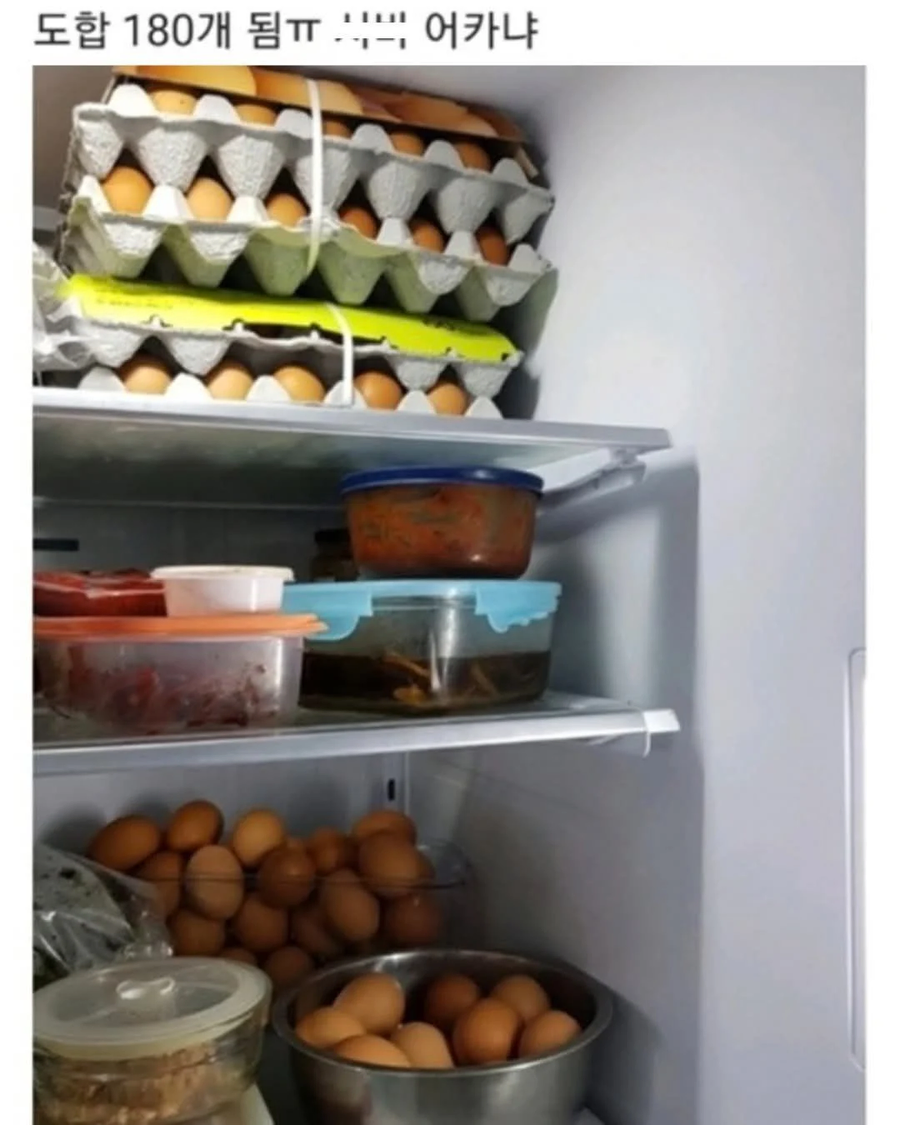 집안 통신 꼬여서 계란 180개됨_2.webp