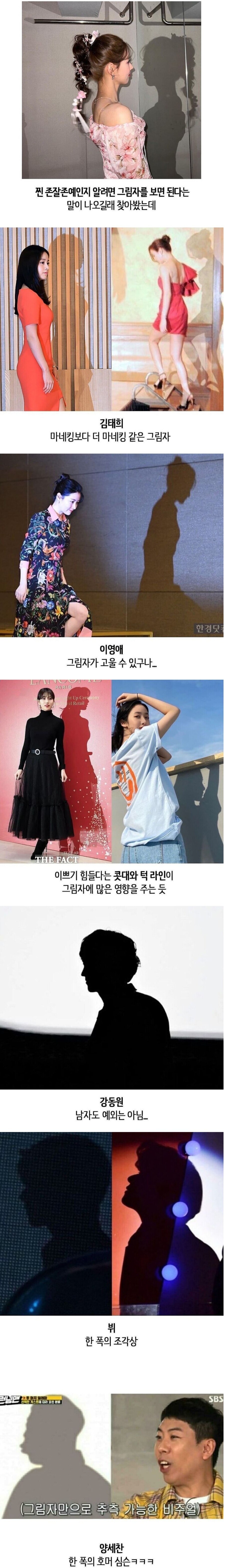 진짜 미남미녀인지 알려면 그림자를 보면 된다_1.jpg