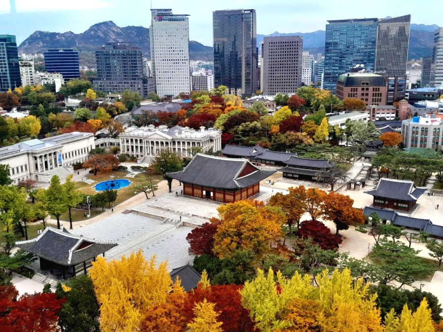 우리나라 5대궁의 가을_1.jpg