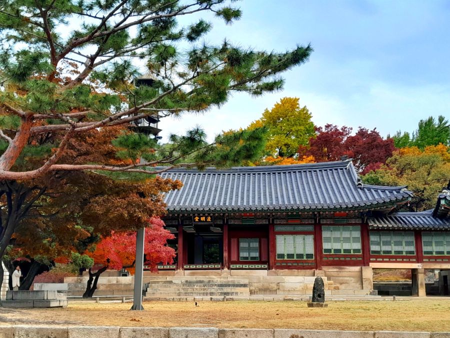 우리나라 5대궁의 가을_2.jpg